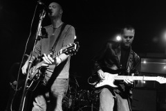 Black Swan Lane - The Shelter 2011_DSC0578